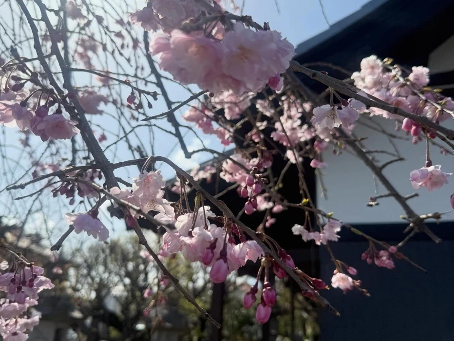 画像326