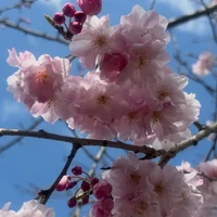 画像329