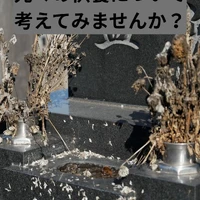 画像331