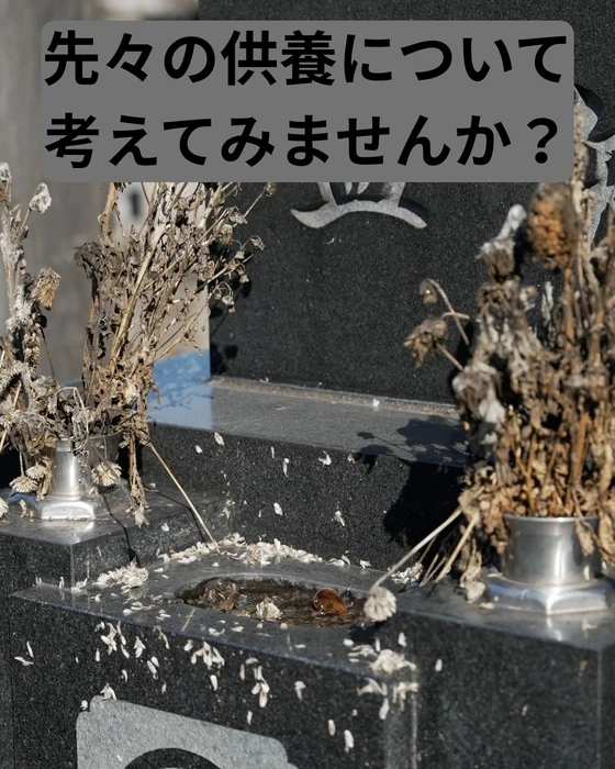 画像331