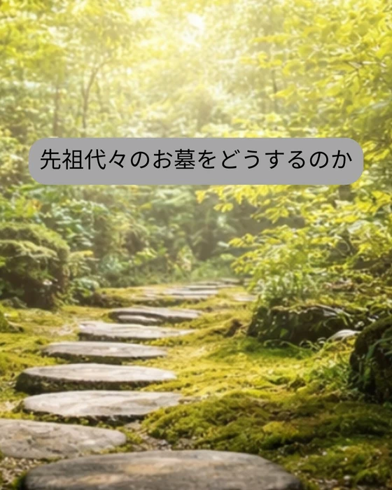 画像335