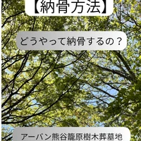 画像342