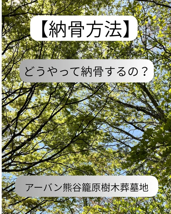 画像342