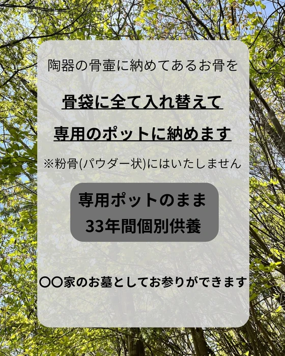 画像345