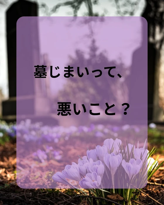 画像347