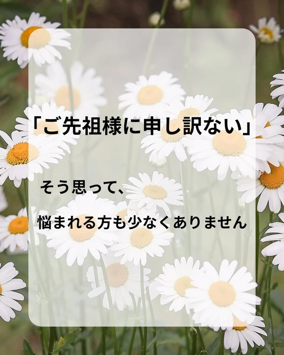 画像348