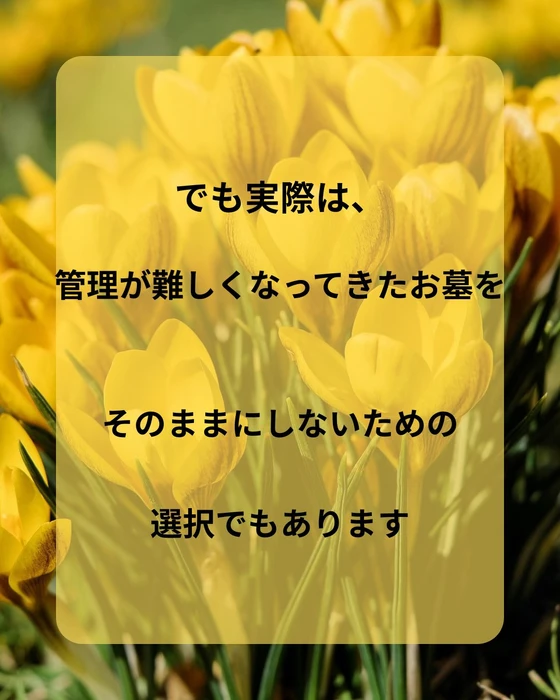 画像349