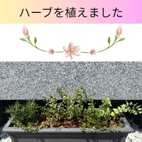 画像354