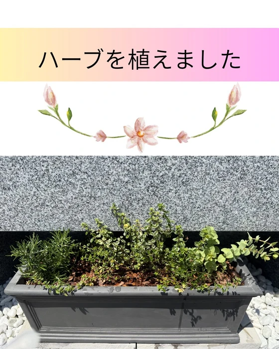 画像354