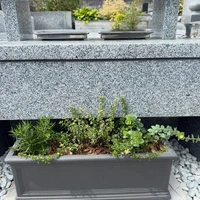 画像362