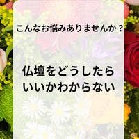 画像365