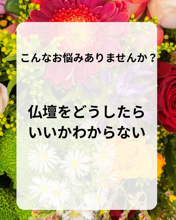 画像365