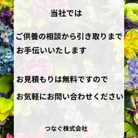 画像368