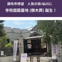 画像381