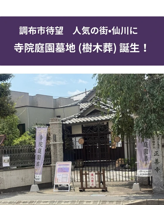 画像381