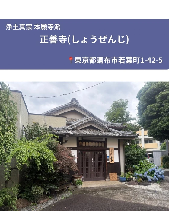 画像382