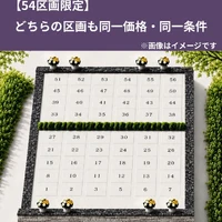 画像384