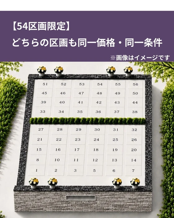 画像384