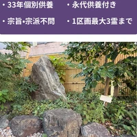 画像385