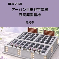 画像395
