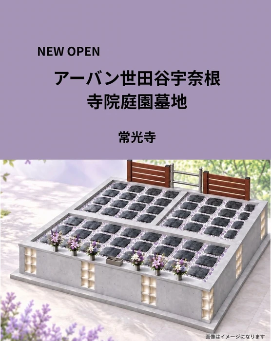 画像395