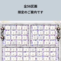 画像396