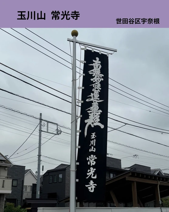 画像398
