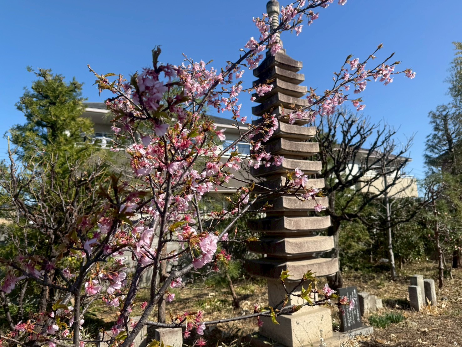 充実したサポート体制